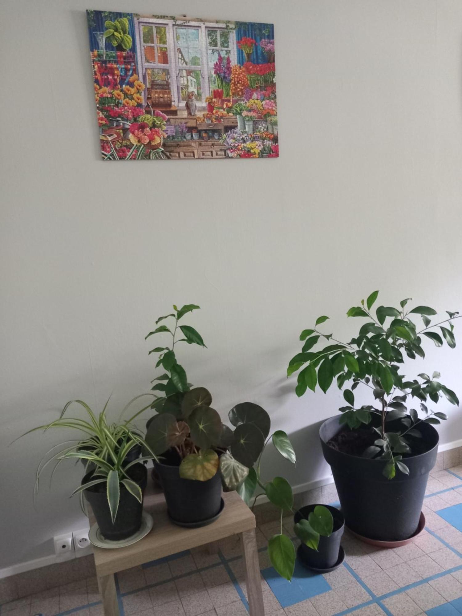 코스네쉬르로아르 Les Cyclamens 1 아파트 외부 사진